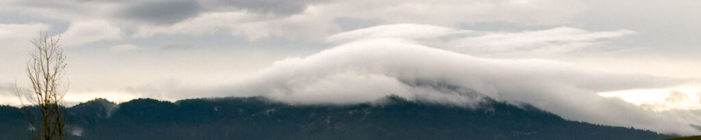 Clouds on on the peak of Moscow Mountain with a leafless tree on the left of the frame.